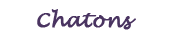 chatons.png, 10kB
