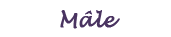 male.png, 7,7kB